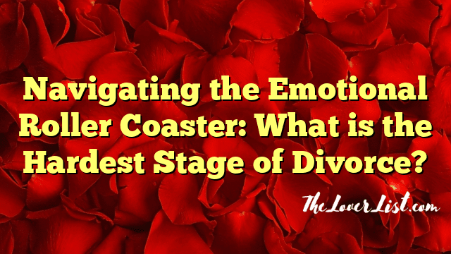 Navigating the Emotional Roller Coaster: What is the Hardest Stage of Divorce?