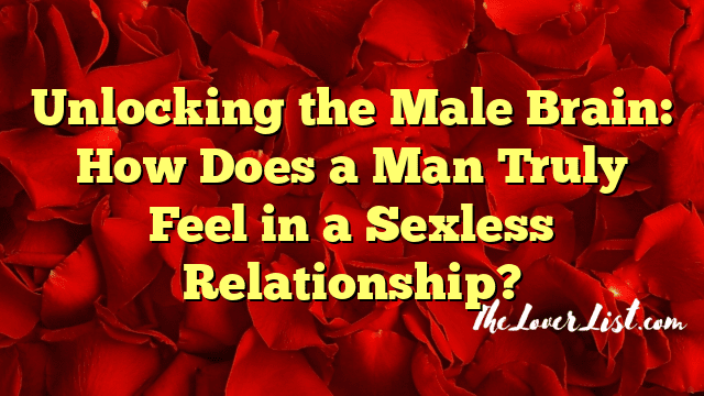 Unlocking the Male Brain: How Does a Man Truly Feel in a Sexless Relationship?